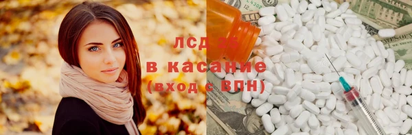 шишки Липки