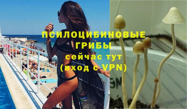 шишки Липки