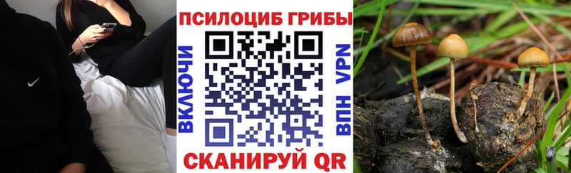 Галлюциногенные грибы ЛСД как найти закладки кракен ONION Барнаул